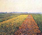 Yellow Fields at Gennevilliers
